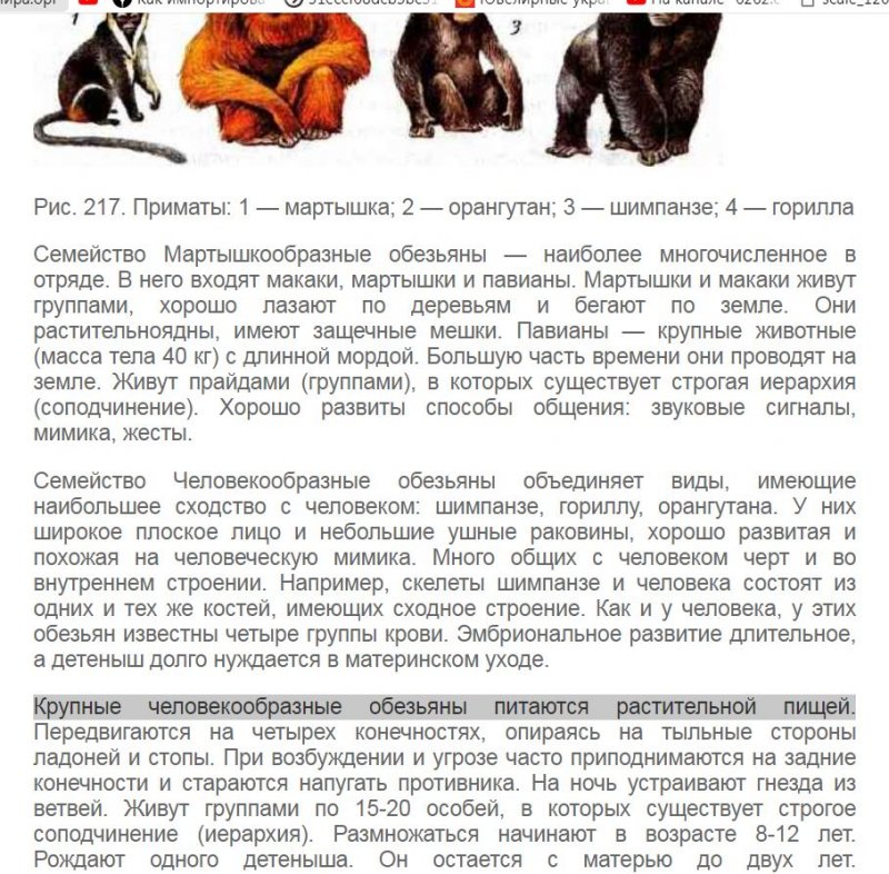 Снимок23.JPG