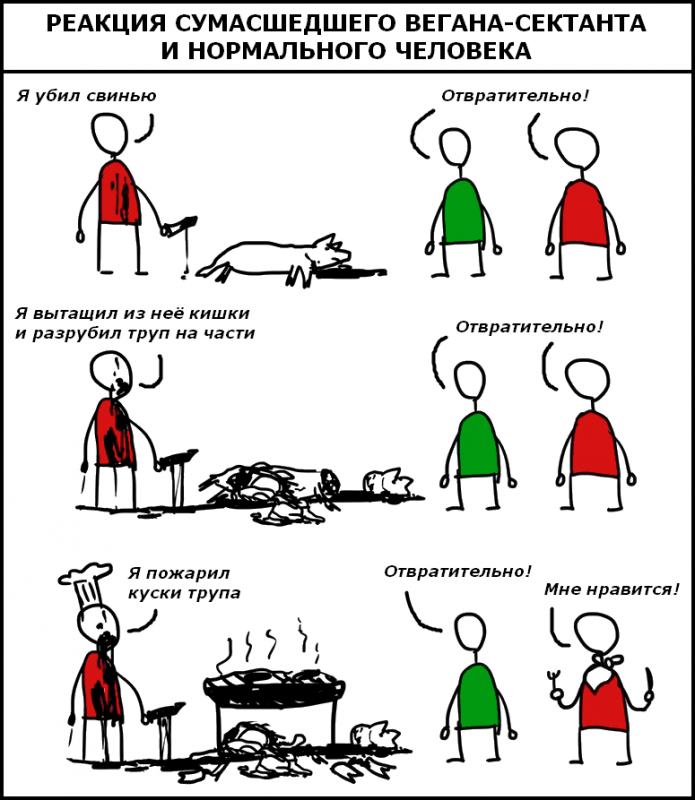 52d990a7f80fb3a8a35331c733c67523.png