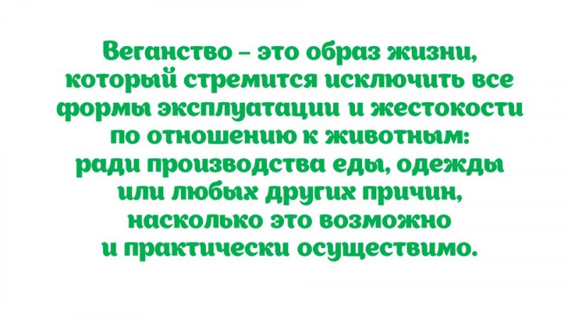 Слайд21.JPG
