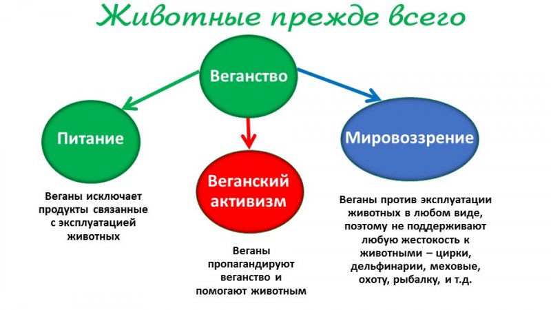 Слайд26.JPG