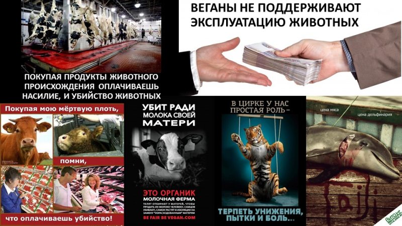 Слайд16.JPG