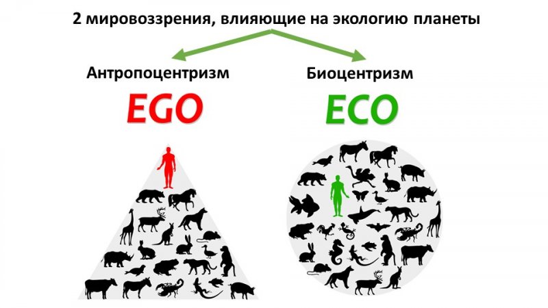Слайд41.JPG