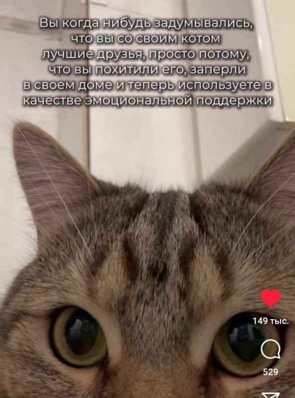 «5990»
