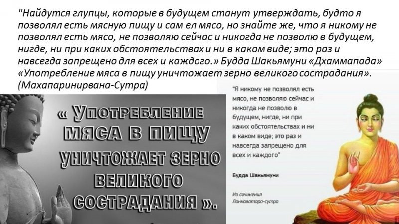 4dCEZltuuC-lTnymj8yhhDV19Ouu8CjQROgFhiuXmYp1E4xuntWEpfdRzZ0PYughl7Bljdf7sDMo1NQY_W8jb5Dt.jpg