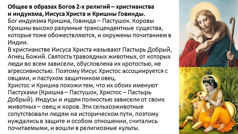 -1cppz15dP9FYkS41xQrz925mFc1JTwImsqiC3qH29Qe5tJqiN06JUmRdyMcLdzHFKfxi99LBZnHXheYEitbiA_J.jpg