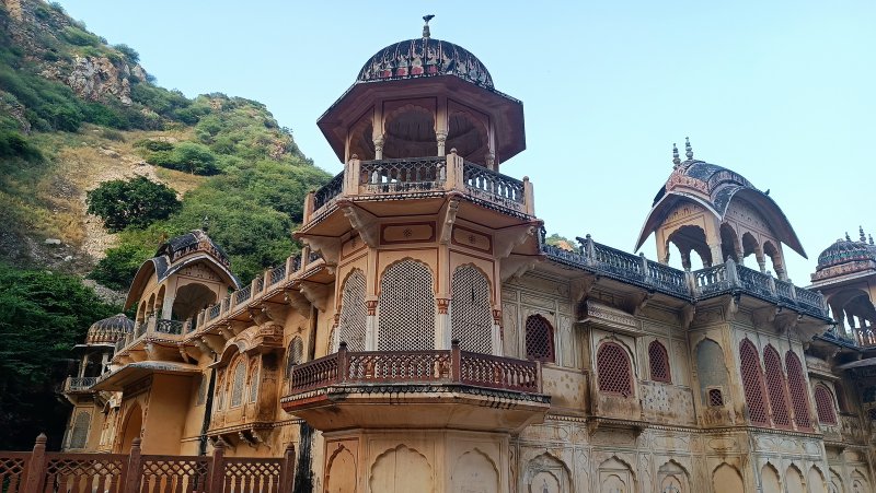 »»»»«6446»»»»»