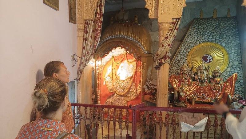 »»»»«6451»»»»»