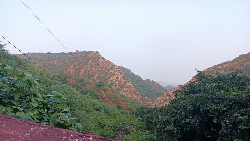 »»»»«6453»»»»»