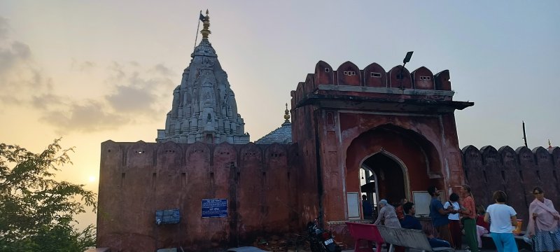 »»»»«6454»»»»»