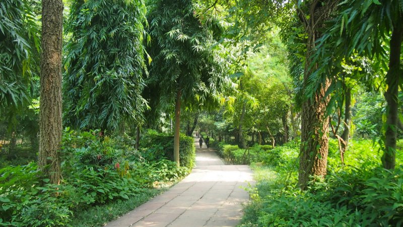 »»»»»»»»»»»«6470»»»»»»»»»»»»