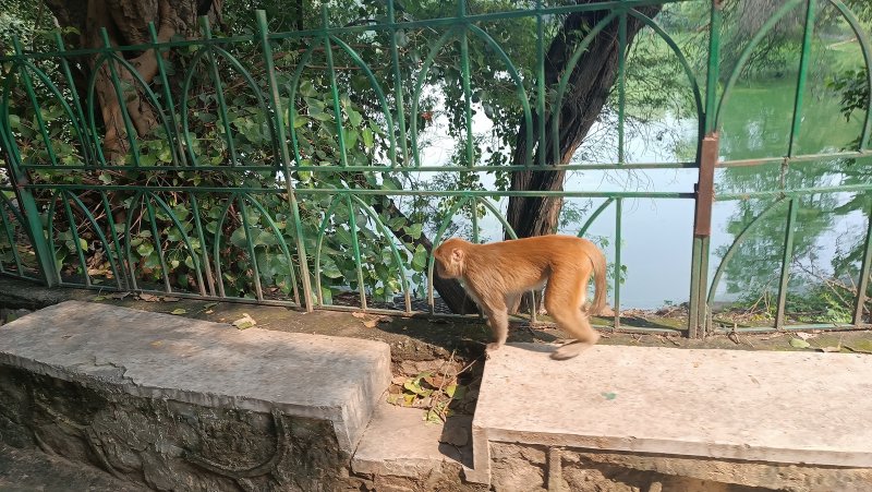 »»»»»»»»»»»«6472»»»»»»»»»»»»