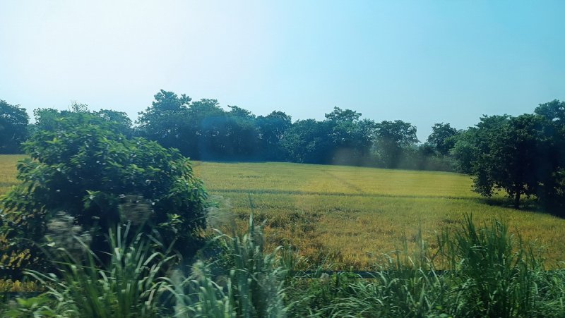 »»»»»»»»»«6494»»»»»»»»»»