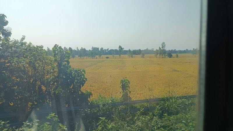 »»»»»»»»»«6495»»»»»»»»»»