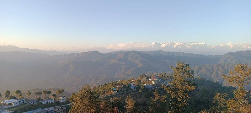 »»»»»»»»»«6503»»»»»»»»»»