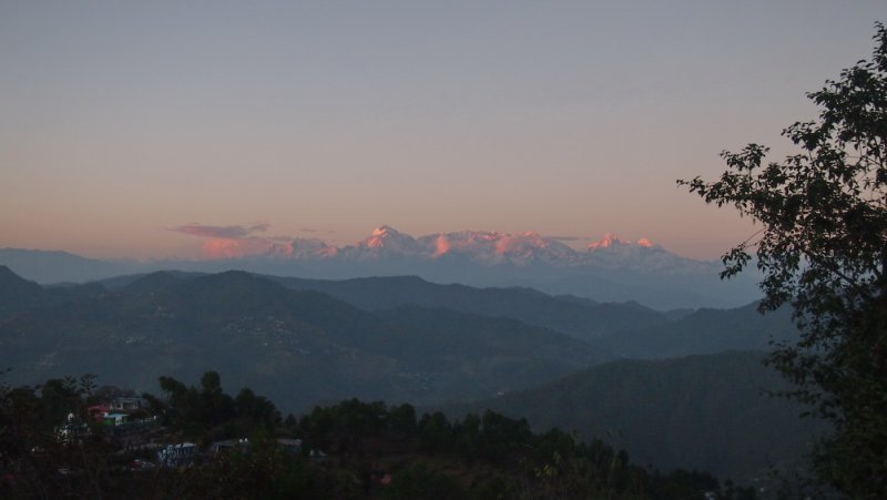 »»»»»»»»»«6505»»»»»»»»»»