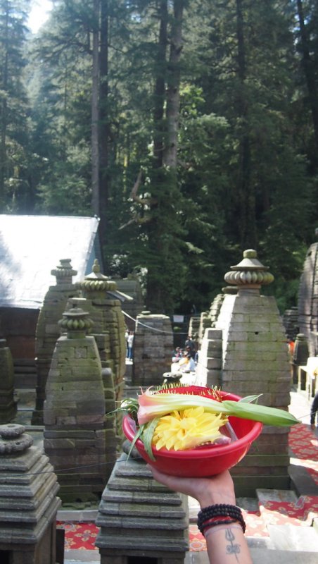 »»»»«6531»»»»»