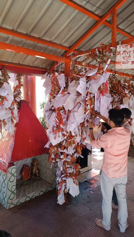 »»»»«6533»»»»»