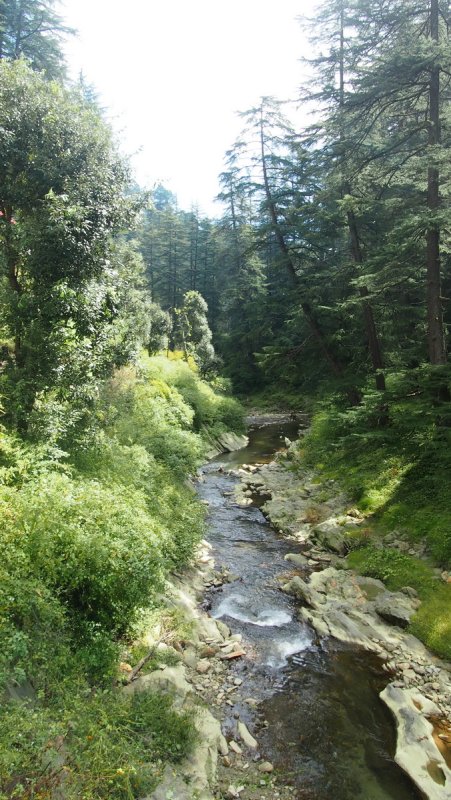 »»»»«6534»»»»»