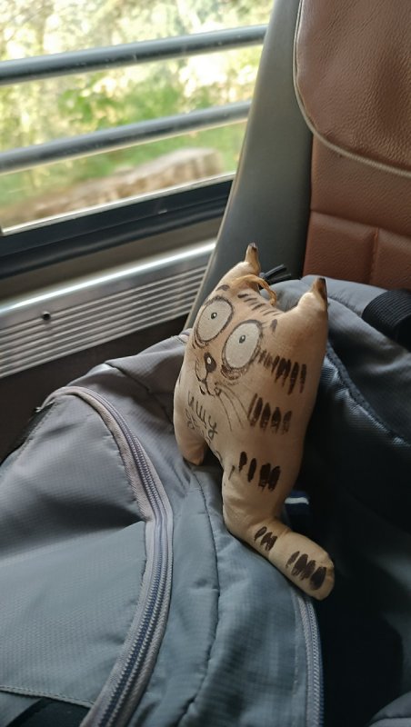 »»»»«6535»»»»»