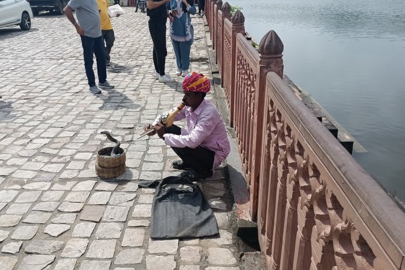 »»»»»«6559»»»»»»