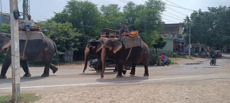 »»»»»«6562»»»»»»