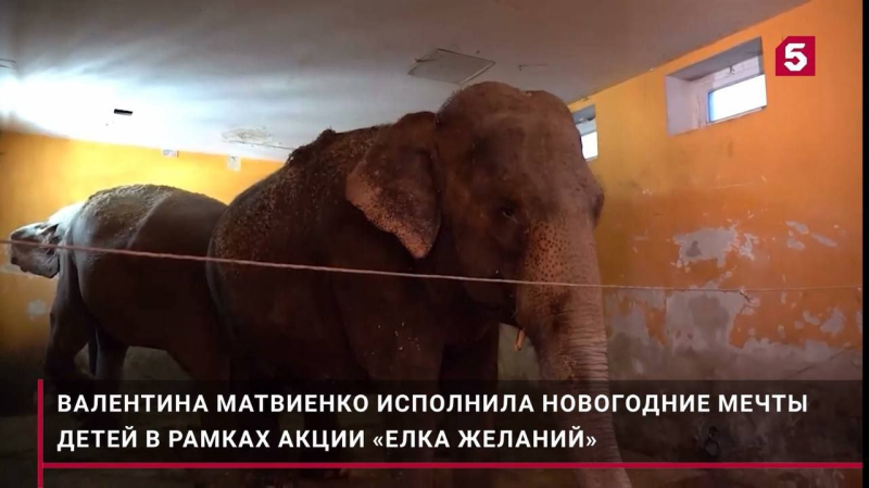 »»»»»»»»»»«6595»»»»»»»»»»»