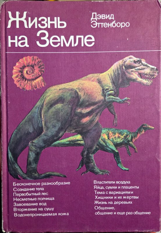 »«6682»»