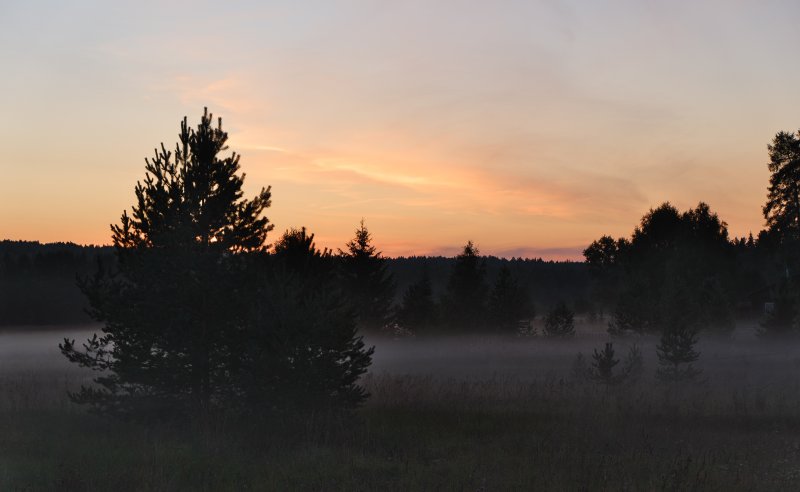 DSCF5889.jpg